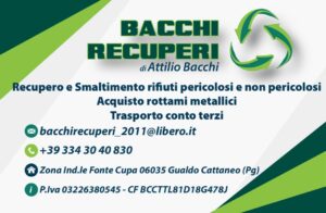 bacchi